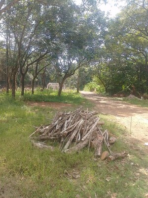 Plot Area in  Plot at Kolazhy – for Sale