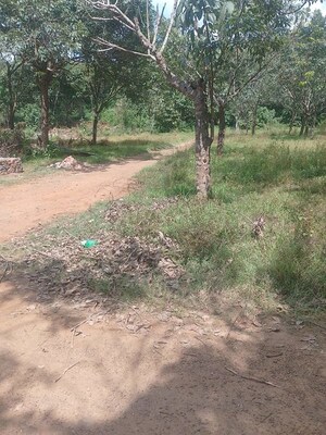Plot Area in  Plot at Kolazhy – for Sale