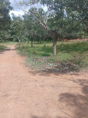  Plot For Sale in Kolazhy