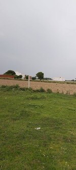 100 Sq.Yd. Plot in Dhanauli