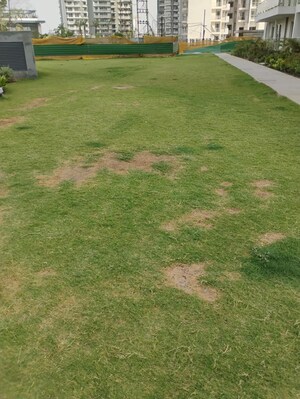 3 BHK Apartment – Garden View at Godrej Meridien, Sector 106 - for Rent