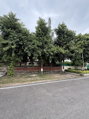  Plot – Garden View at Sector 105 - for Sale