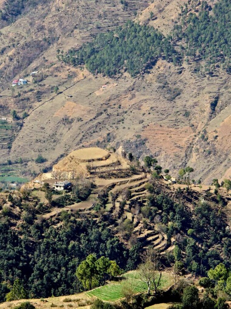 Garden, chambaghat  5 Acre Plot In Chambaghat Solan 10718712