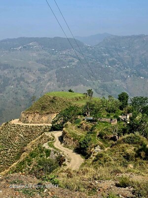 Plot Area in  Plot at Chambaghat – for Sale