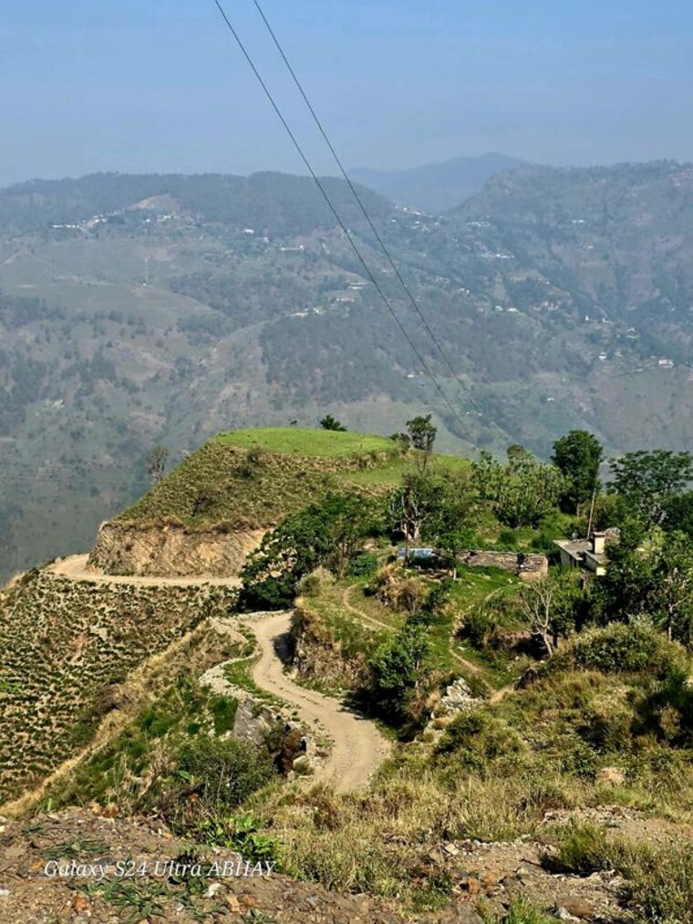 undefined, chambaghat  5 Acre Plot In Chambaghat Solan 10718712