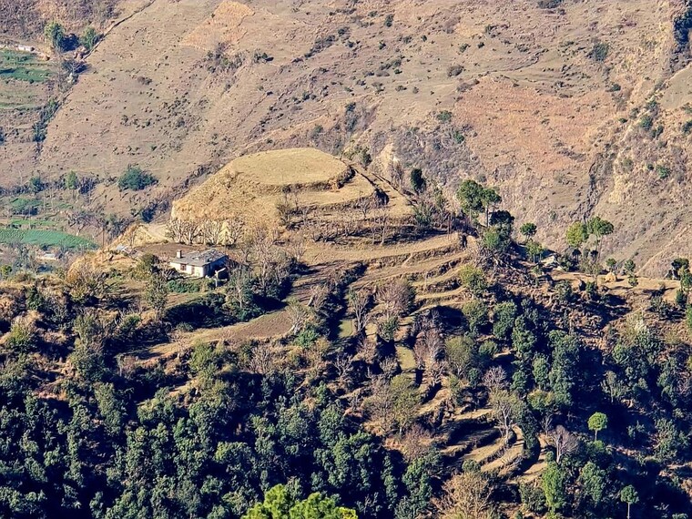 undefined, chambaghat  5 Acre Plot In Chambaghat Solan 10718712