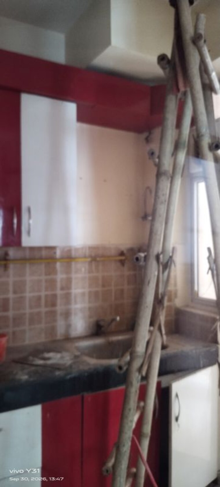 undefined, mahagun-my-woods 2 Bedroom 1110 Sq.Ft. Apartment In Sector 16c Greater Noida Greater Noida 10718723