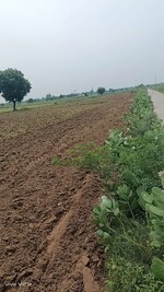 165 Sq.Yd. Plot in Sector 37C