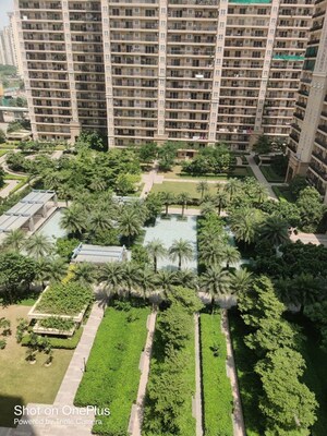 3 BHK Apartment For Rent in ACE Parkway, Sector 150