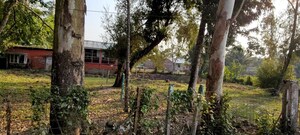 Plot Area in  Plot at Dhenuchosa – for Sale