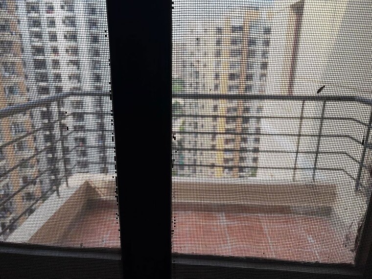 undefined, sector 21 3 Bedroom 1550 Sq.Ft. Builder Floor In Sector 21 Gurgaon 10720377