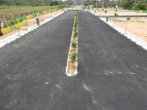 Plot Area in  Plot at Chikkaballapur – for Sale
