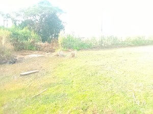 Plot Area in  Plot at Boirdadar – for Sale