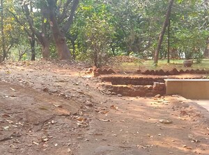 Plot Area in  Plot at Boirdadar – for Sale