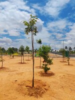 1900 Sq.Ft. Plot in Devanahalli