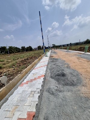 Plot Area in  Plot at Amargol – for Sale
