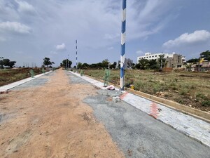 Plot Area in  Plot at Amargol – for Sale
