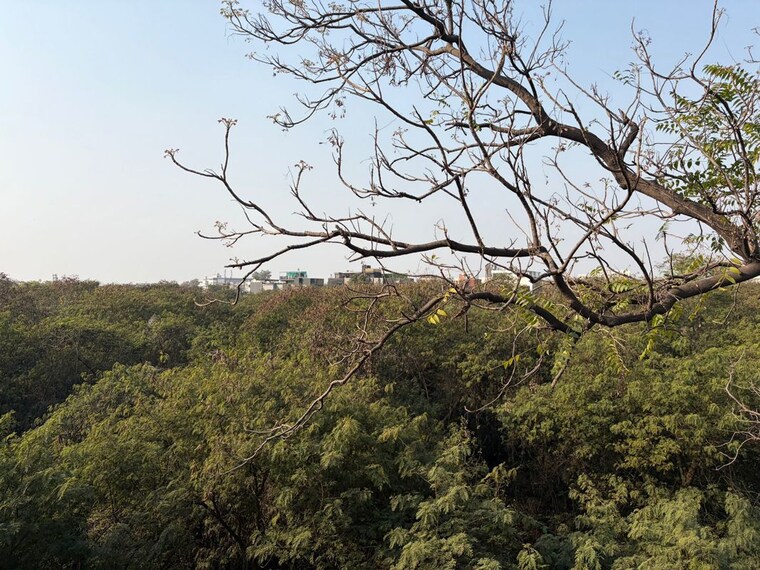 undefined, greater kailash i 3 Bedroom 200 Sq.Yd. Builder Floor In Greater Kailash I Delhi 10720880