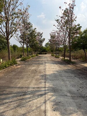  Plot – Exterior View View at Shriram Rainforest, Yelahanka - for Sale