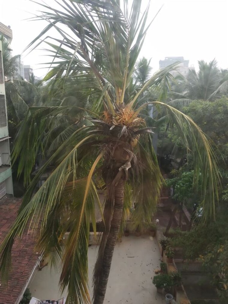 Exterior View, ira-chaya 5 Bedroom 2500 Sq.Ft. Apartment In Khar West Mumbai 10721123