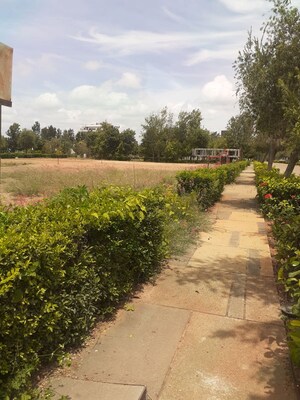 Plot Area in  Plot at Embassy Springs Plots, Devanahalli – for Sale