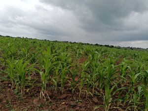  Land For Sale in Narayanguda
