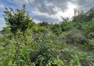  Land For Rent in Srimadavadiraja Enclave, Chunchanaguppe