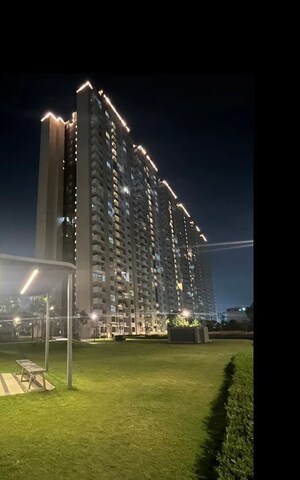 3 BHK Apartment For Sale in Tulip Yellow, Sector 69