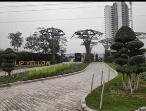 Swimming Pool in 3 BHK Apartment at Tulip Yellow, Sector 69 – for Sale