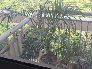 Balcony in 2 BHK Apartment at Unitech Uniworld Gardens 2, Sector 47 – for Rent