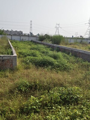 Plot Area in  Plot at Spiti Palm Estate, Farukh Nagar Sector 3 – for Sale