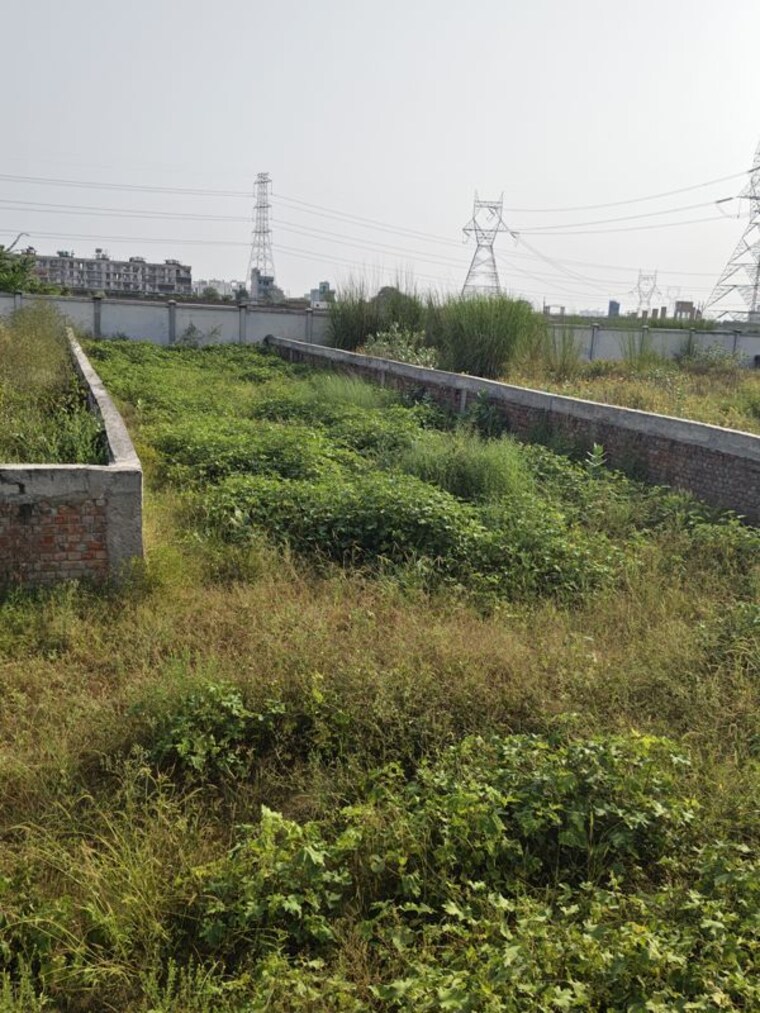 undefined, spiti-palm-estate  154 Sq.Yd. Plot In Farukh Nagar Sector 3 Gurgaon 10721731