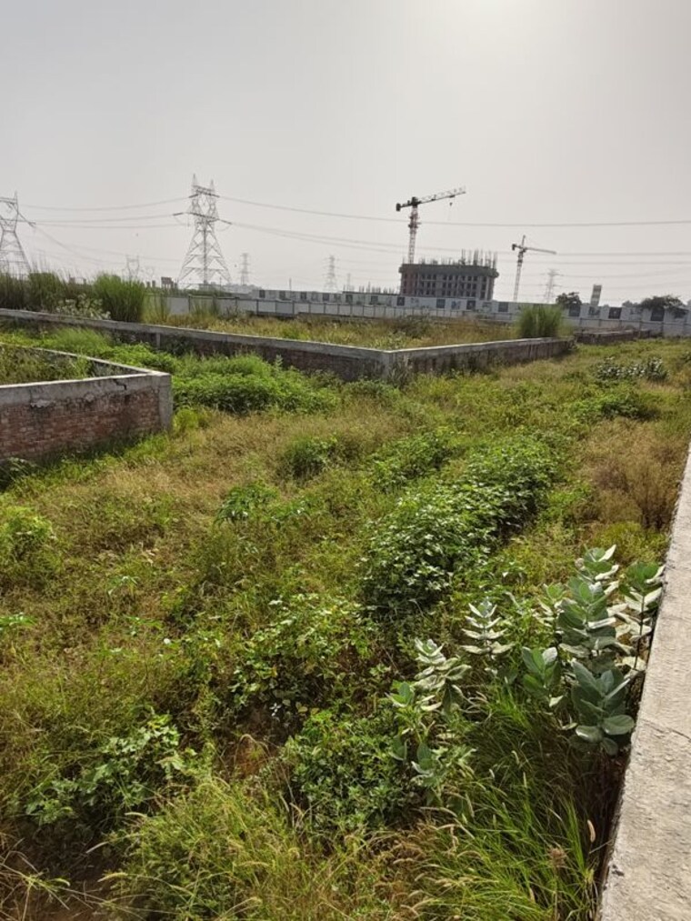 undefined, spiti-palm-estate  154 Sq.Yd. Plot In Farukh Nagar Sector 3 Gurgaon 10721731