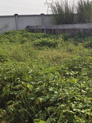  Plot – Garden View at Spiti Palm Estate, Farukh Nagar Sector 3 - for Sale