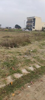 210 Sq.Yd. Plot in Altus Prime