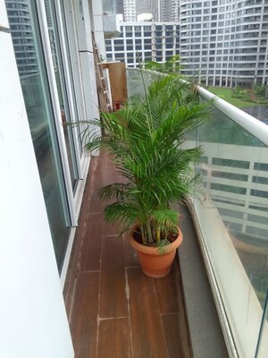 Balcony in 3 BHK Apartment at Enpar Lotus Residency, Lower Parel – for Rent