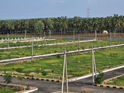 Plot For Sale in Pamarru
