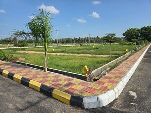 Plot Area in  Plot at Pamarru – for Sale