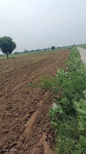  Plot For Sale in Sector 37c