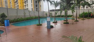 Swimming Pool in 1 BHK Apartment at Lodha Crown Quality Homes Dombivli, Dombivli East – for Rent