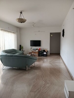 2 BHK Apartment For Rent in Koregaon Park CHS, Koregaon Park