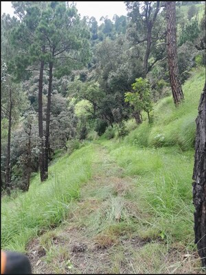  Land – Exterior View View at Anandpur - for Sale