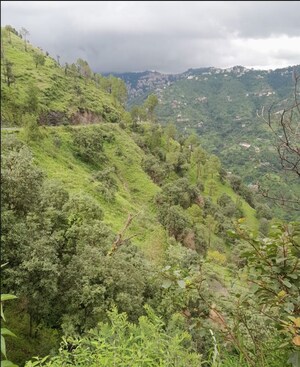  Land For Sale in Anandpur