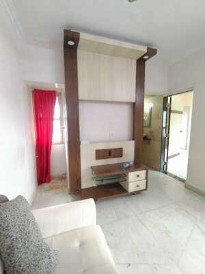 Living Room in 1 BHK Apartment at Palm Springs CHS Airoli, Airoli Sector 7 – for Rent