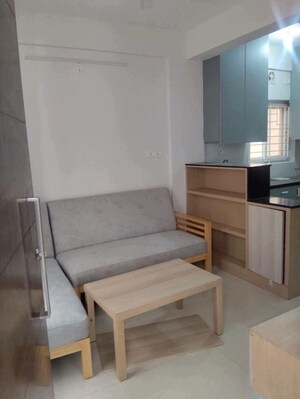 1 BHK Apartment For Rent in Pruchi Residency, Panathur