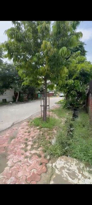   Plot at Sector 51 – for Sale