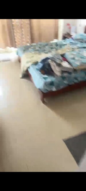 Bedroom in 2 BHK Apartment at Pyramid Urban Homes, Sector 70a – for Rent
