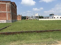 Plot For Sale in Amrai gaon