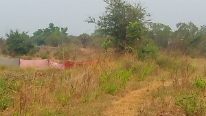 Plot Area in  Land at Dronagiri – for Sale