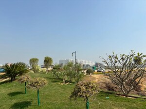 Plot Area in  Plot at Central Park Flower Valley Mikasa Plots, Sohna Sector 33 – for Sale